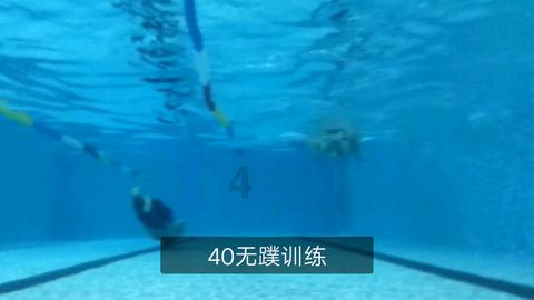 逃离变色龙森林